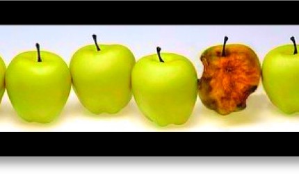 manzana1